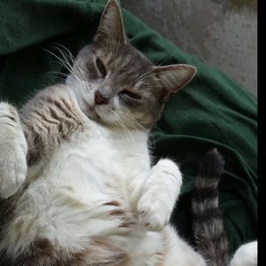 Meet your Posher, Misc